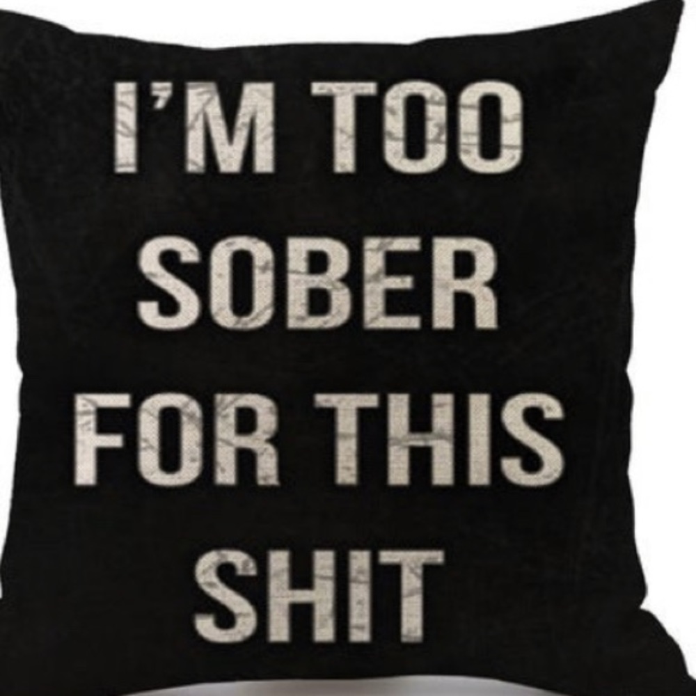 NWT  2 funny pillow case covers 😀